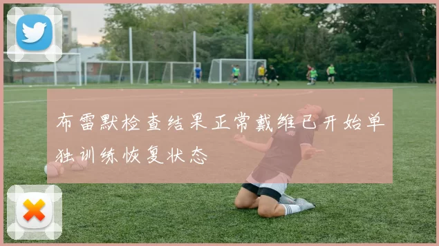 布雷默检查结果正常戴维已开始单独训练恢复状态